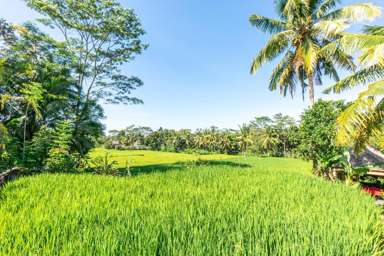 Rouge - Private Villa Passion Ubud  Exterior photo